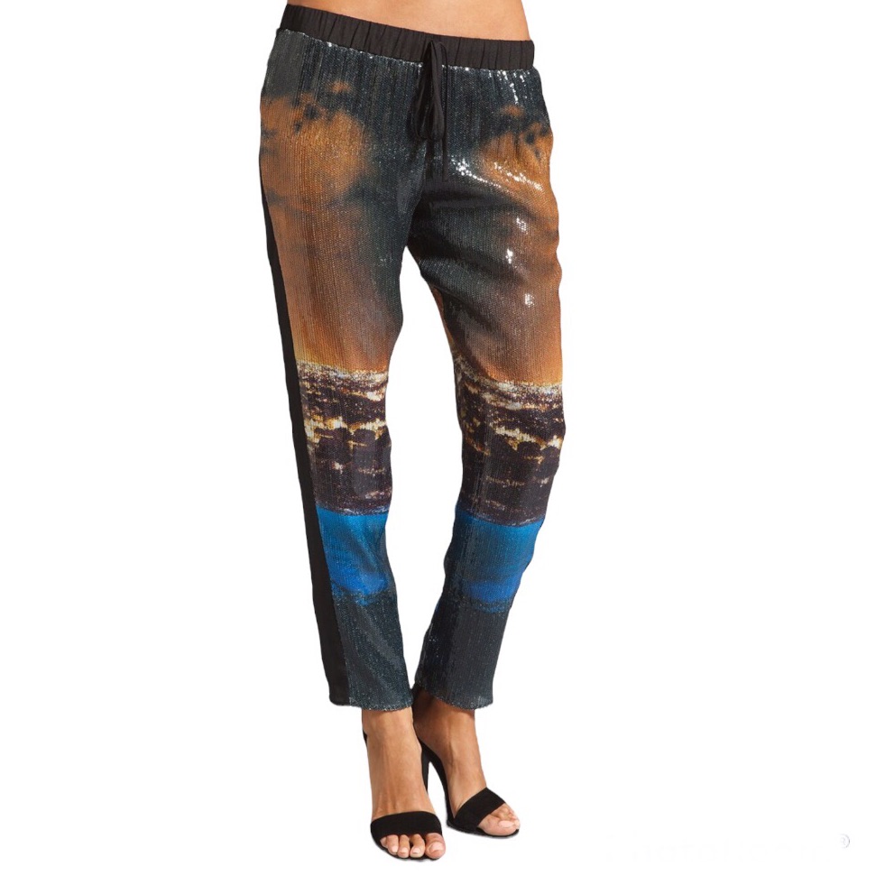 Nwt Clover Canyon City Lights Printed Sequined Georgette Pants